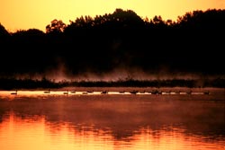 All my ducks in a row