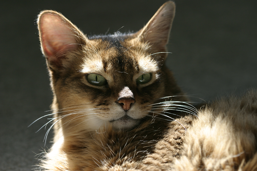 "Jake (one afternoon)"