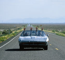 "Mike and Ivan - MASER MIGLIA 2000"