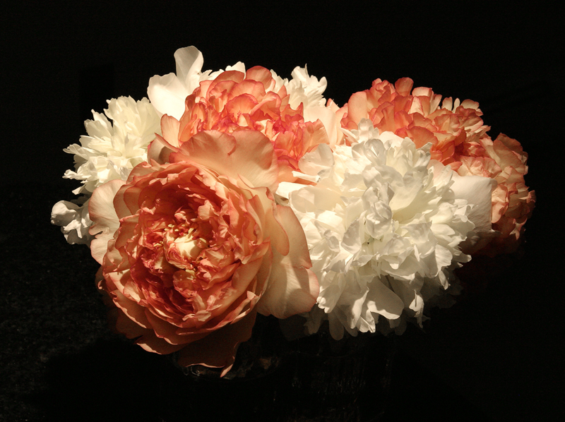 Peonies